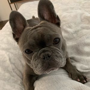 Meet your Posher, Kate